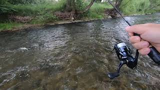 Mfcraft Trout Fanatic Vol. 5