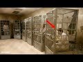 8 Datos escalofriantes de cómo vive “El Chapo” en prisión