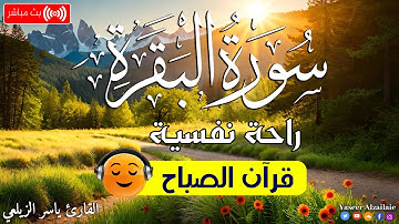 سوره البقره تلاوه هادئه القارئ ياسر الزيلعي