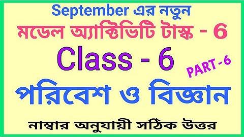 Class-6 Science (পরিবেশ ও বিজ্ঞান) Part-6 New Model Activity Task Part 6 September 21 with solution