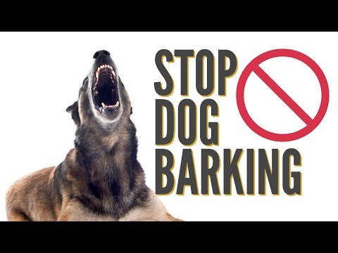 how-to-quickly-stop-dog-barking