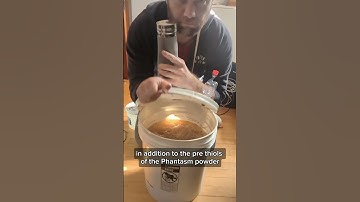 Dry hopping a #homebrew Fruitless Tropical #mead inspired by #ddh hazy #ipa Free #recipe in profile