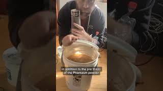 Dry Hopping A Fruitless Tropical Inspired By Hazy Free In Profile