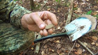 Лесные поиски с Белым Копателем! Осенний сезон открыт! Лесные поиски с Белым Копателем! Осенний сезон открыт!