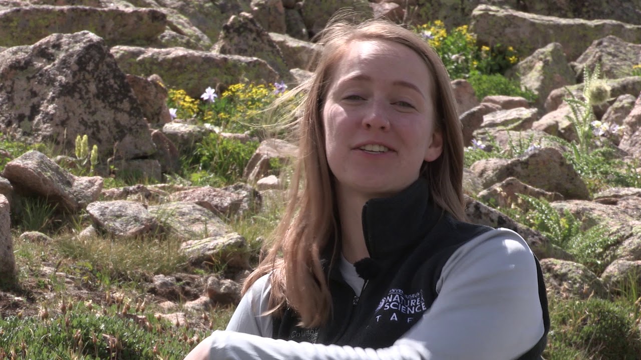 museums in london Scientists in Action: Protecting Pika
