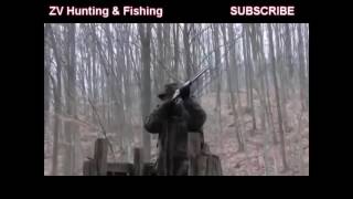 Охота на Кабана / Подборка видео 2016 Охота на Кабана / Подборка видео 2016
