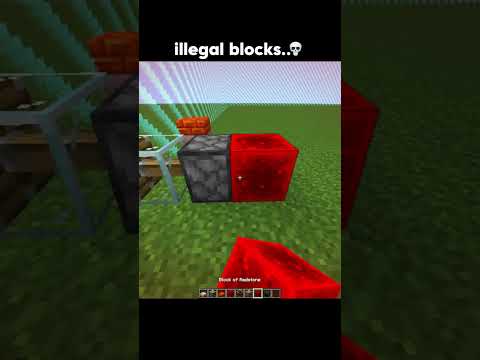 Minecraft illegal blocks #minecraft #shorts