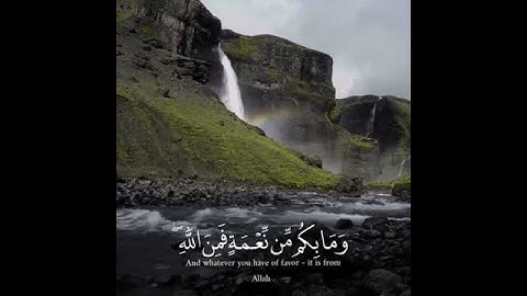 وما بكم من نعمهٍ فمن الله - القارئ عبد الرحمن مسعد