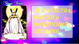 Мысли, чувства и намерения загаданного человека сегодня? Гадание на картах Таро .