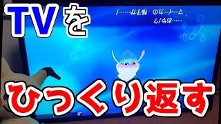 良い子は絶対にマネしないでください マーイーカの進化方法を全部試してみた ポケモン剣盾 ポケモンソードシールド Youtube