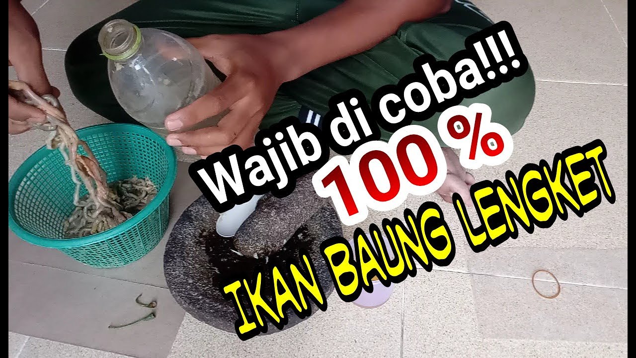 UMPAN MANCING IKAN BAUNG DI SUNGAI WAJIB DI COBA!!! ( LANGSUNG TES