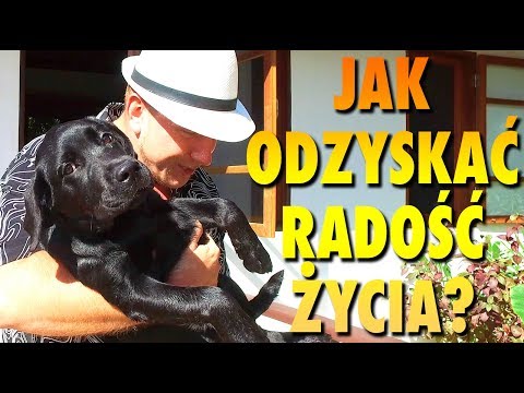 Wideo: Jak Cieszyć Się Pracą