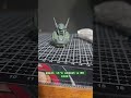 Progress - #plamo #gunpla #gundam #gunplabuilder #gunplacommunity #bandaigundam