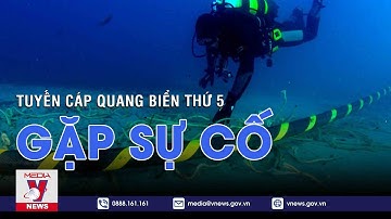 Tuyến cáp quang biển thứ 5 gặp sự cố - VNEWS