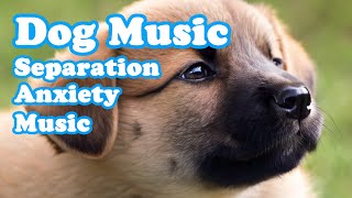 Dog Music TV💖🐶Please let your dog hear it when you go out.Music for dogs