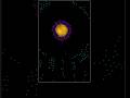 Volatile forms #simulation #physics #evolution #beautiful #mathematics #evolved #particlelife