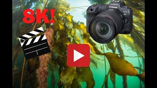 Underwater 8K Video with the Canon EOS R5