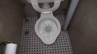 Bathroom tour: Masonic Temple building Staunton VA with AMAZING toilets and OTIS elevator