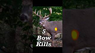 5 Bow Shots! #hunting #bowhunting #deerhunting