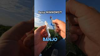 BANJO MINNOWS ARE LEGIT 😱#bassfishing #shorts
