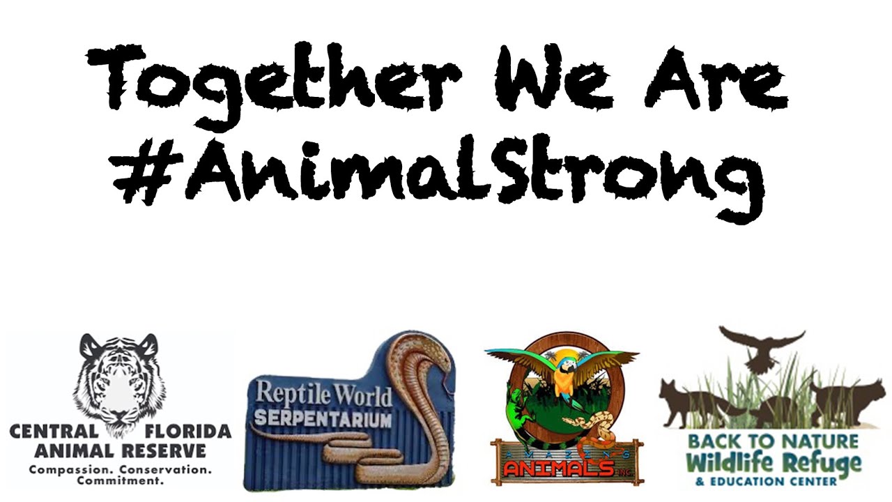 Central Florida Animal Reserve News Central Florida Animal Reserve Compassion Conservation Commitment