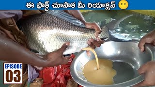 SUPER FACT? | How to Produce Baby Catla Fish from Egg || telugu ocean