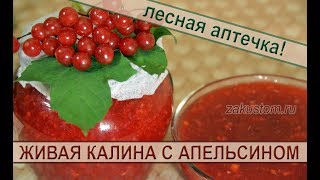 Живая калина с апельсином: вкуснейший, простой рецепт заготовки калины на зиму. Recipe from viburnum Живая калина с апельсином: вкуснейший, простой рецепт заготовки калины на зиму. Recipe from viburnum
