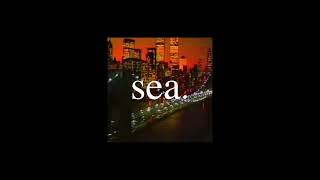 sea. - "trust you."