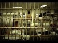 Americas Hardest Prisons Dangerous Prison Gangs | Full Documentary