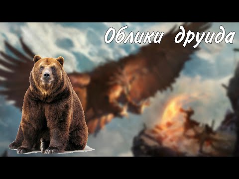 Видео: Облики друида