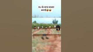 🤣😂🤣😂🤣😂