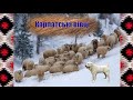 Карпатські вівці. Зимівля овець в Карпатах