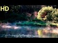 Relaxing Birdsong - HD Lake and Forest