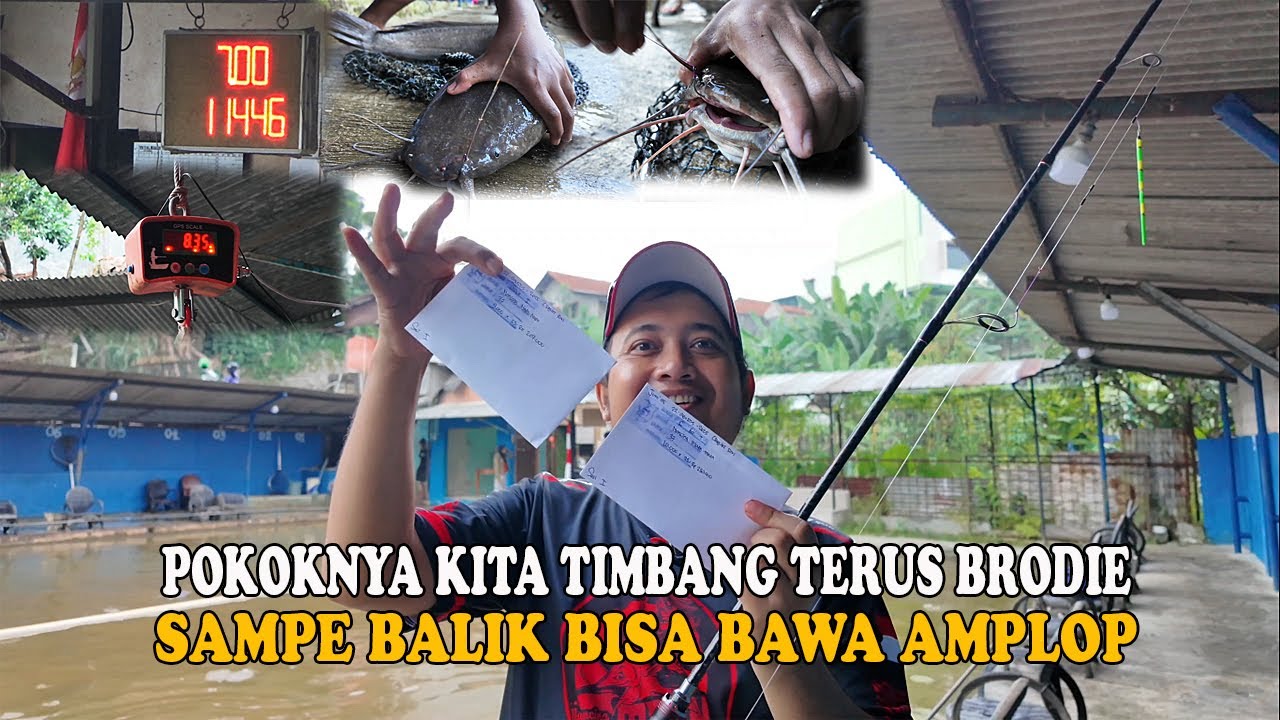 NYOBAIN IKAN PINDAHAN KOLAM BOGOTA❗❗IKAN TIDAK TERKENDALI❗❗GEDE DIKIT WAJIB TIMBANG JHONI🤣🤣