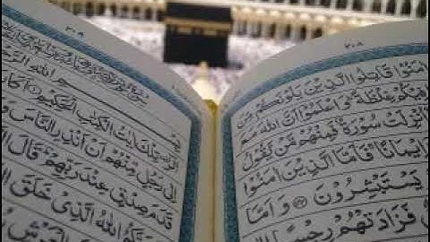 قرآن كريم من سورة الحجرات "ولكن الله حبب إليكم الإيمان...."