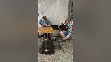 Street art performance in Minsk, Belarus.#belarus #minsk #music #guitar #tune #europe #минск