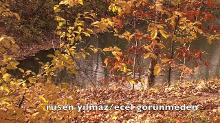 RUŞEN YILMAZ ecel görünmeden Resimi