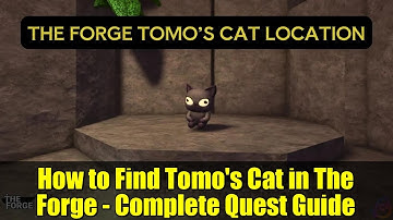 How to Find Tomo