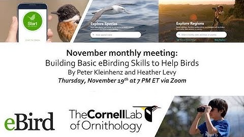 Building your eBirding Skills to Help Birds