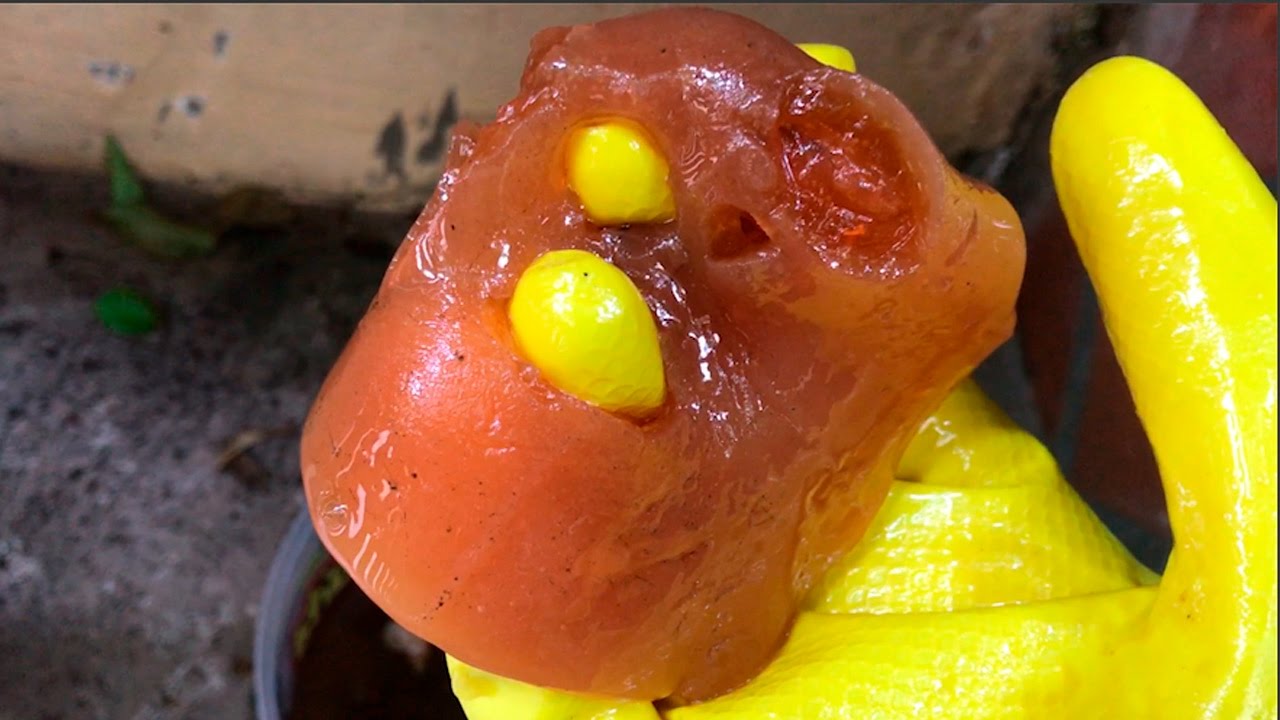 Finalmente Destruímos a Amoeba?!! amoeba magnetica conclusao