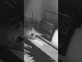 Playing cinematic piano ambient on Casio PX-S1100 & Korg Volca Keys #shortsmusic #pianomusic