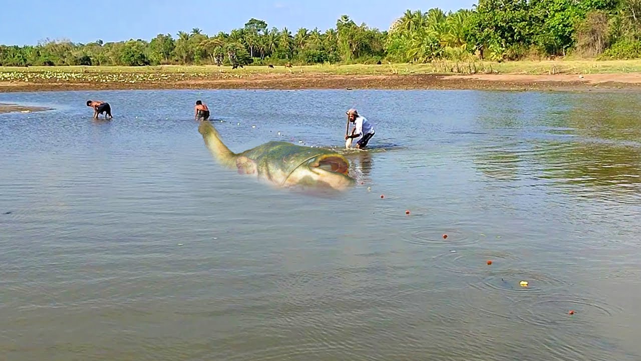 Catching Fish In Abandoned Lake | Viewer Discretion Is Advised ⚠️ - YouTube