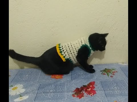 COMO FAZER ROUPA PARA PET (PASSO A PASSO)