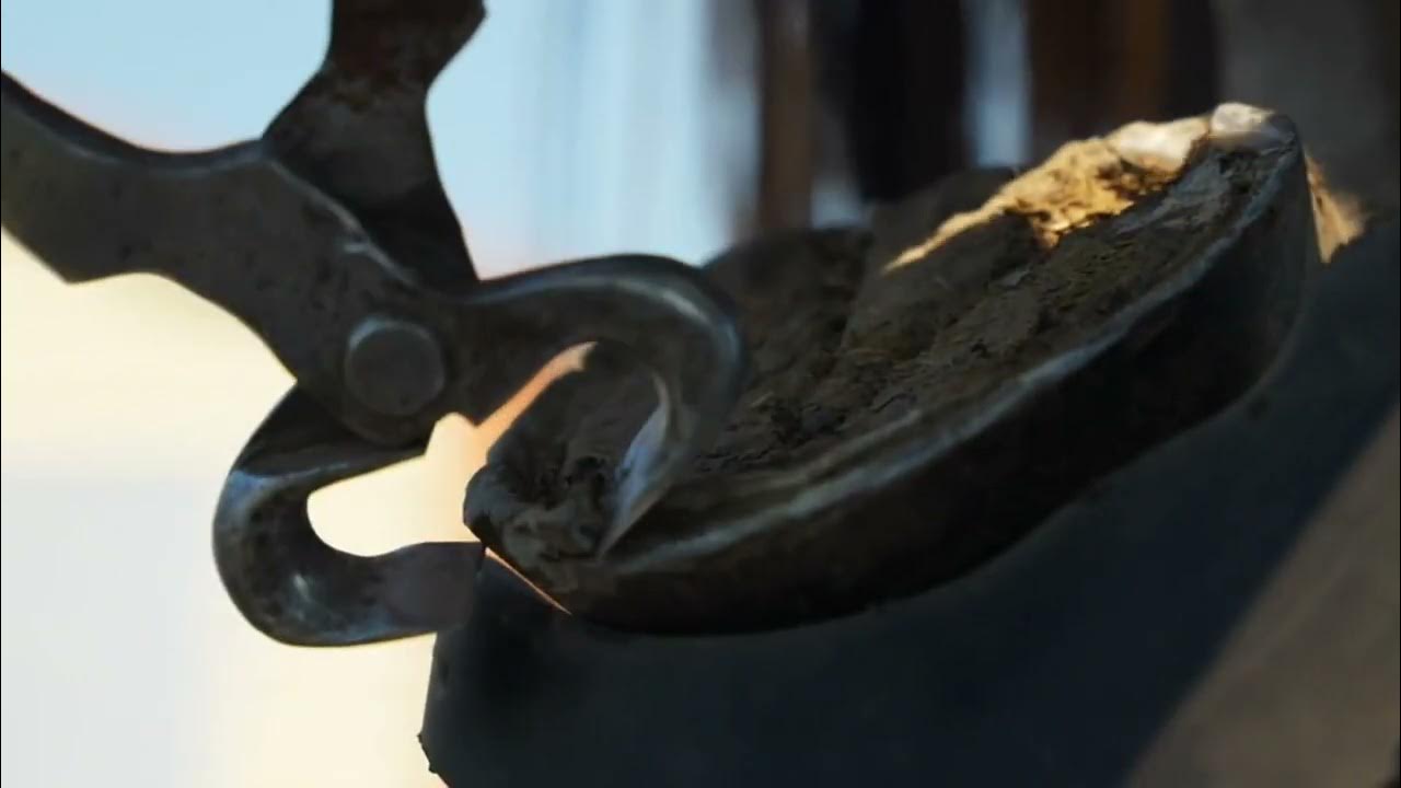Trimming Horse Hoof So Satisfying How to Run Nippers 