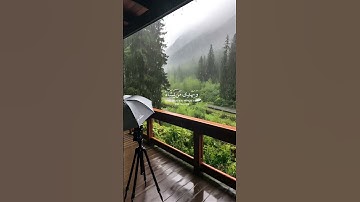 ﴿وَاللَّهُ يَدعو إِلى دارِ السَّلامِ وَيهدي من يشاءُ إِلى صراطٍ مُستقيمٍ﴾ #عبدالرحمن_مسعد #سورة_يونس