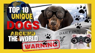 Top 10 Unique Dogs In The World !