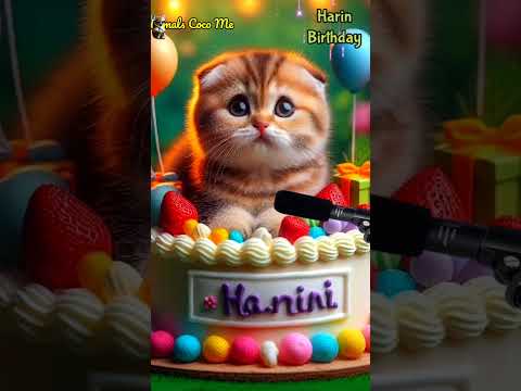 HARIN HAPPY BIRTHDAY