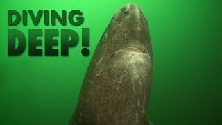 Diving WAY too deep! | DIVE STORIES