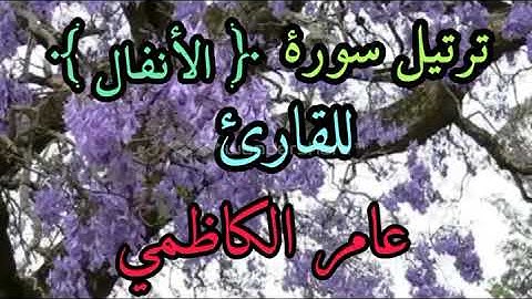 ترتيل سورة الانفال للقارئ عامر الكاظمي