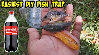 Easiest DIY Fish Trap Anyone Can Make from a Coke Bottle!